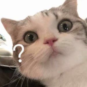 《吃老师的奶头》
